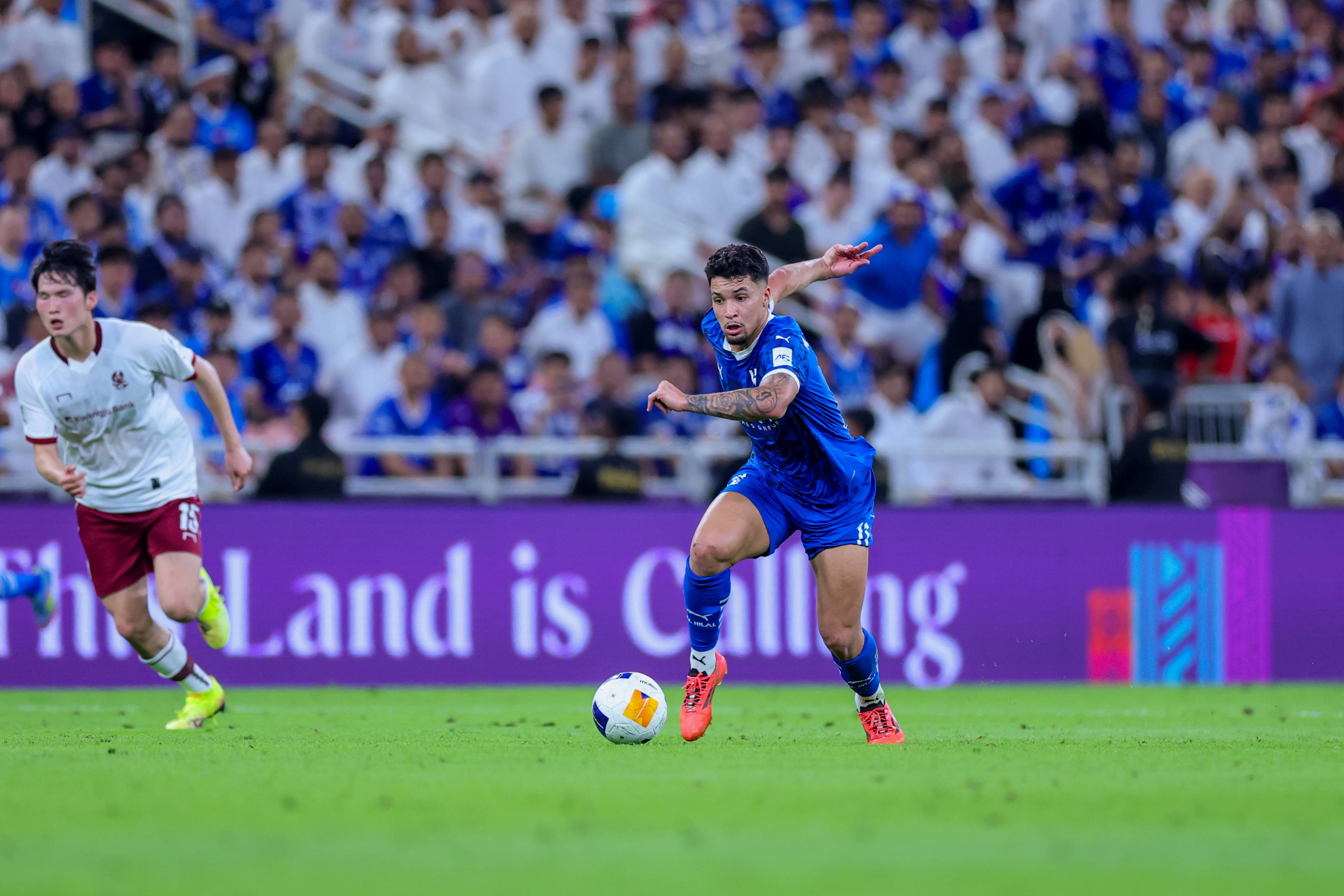 entit, 有葡萄牙中, 层尚未做出 entit, 有葡萄牙中, 层尚未做出